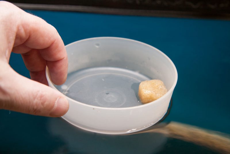 Afbeelding: Het ontdooien in een plastic bakje van diepvries 