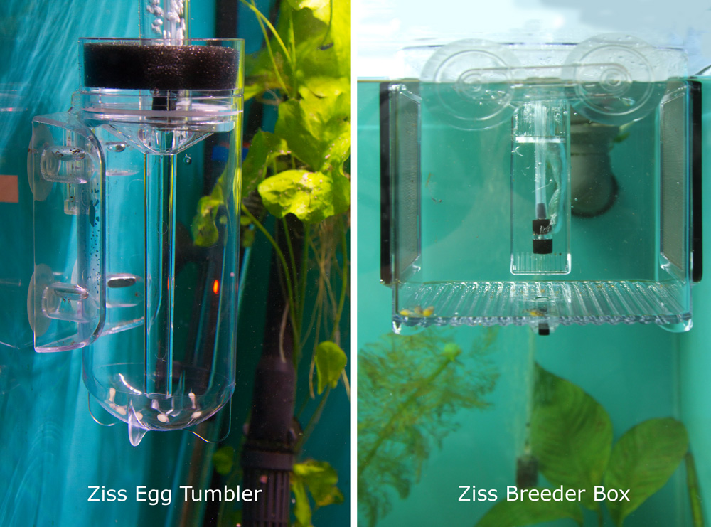 Ziss -  Egg Tumbler en Breeding Box