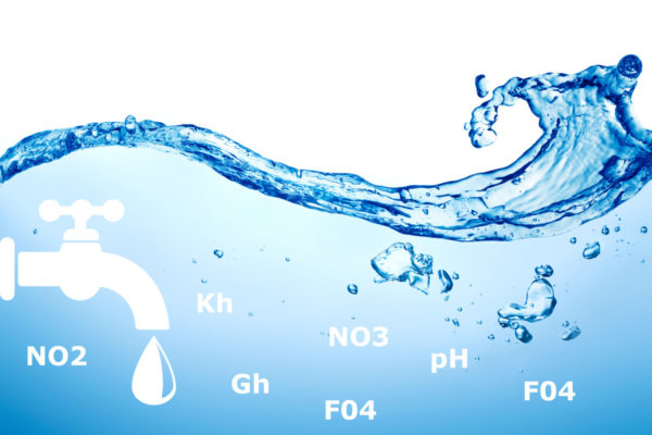 Aquariumwater testen – ‘s Werelds beste drinkwater is nog geen aquariumwater